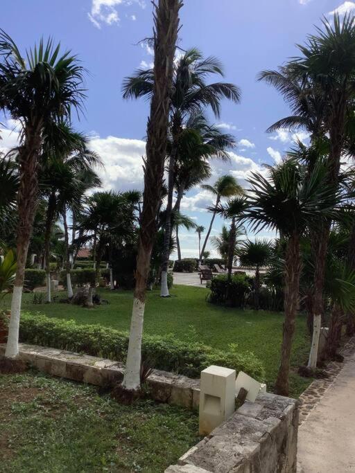 Oceanview & Beach Access 3805 แคนคูน ภายนอก รูปภาพ
